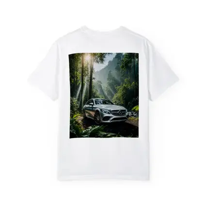 Mercedes C Class Silver Forest Sunlight