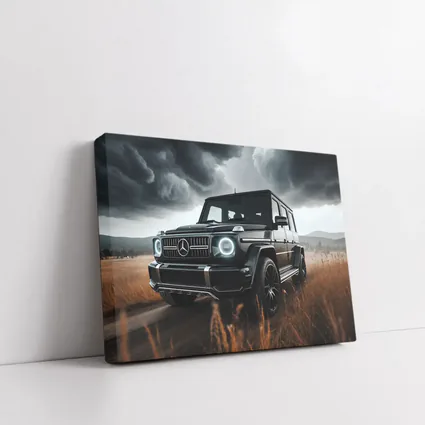 Mercedes G Class Dark Stormy Field Scene