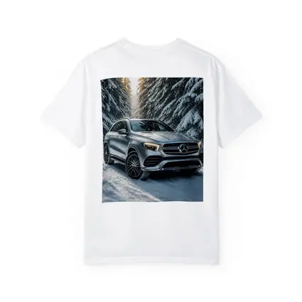 Mercedes Benz GLE Silver Snow Forest