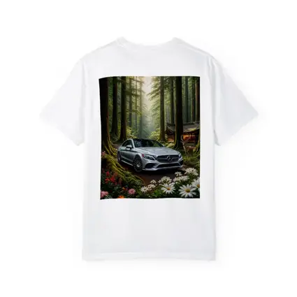 Mercedes C Class Silver Car Forest Setting