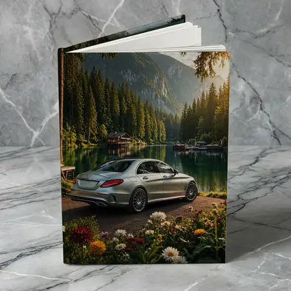 Mercedes C Class Silver Sedan Mountain Lake