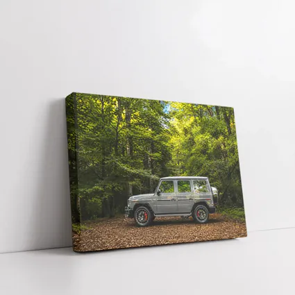 Mercedes G Wagon Silver Forest Setting