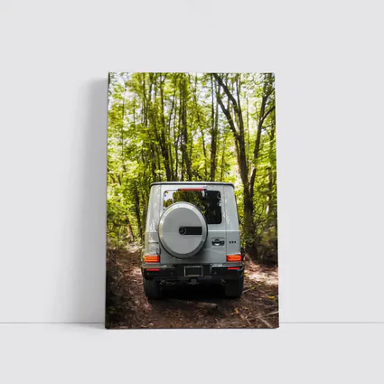Mercedes AMG G Class Forest Trail Rear
