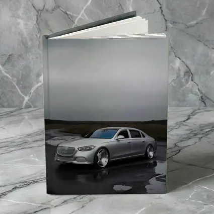 Mercedes Maybach S Class Wet Overcast Road