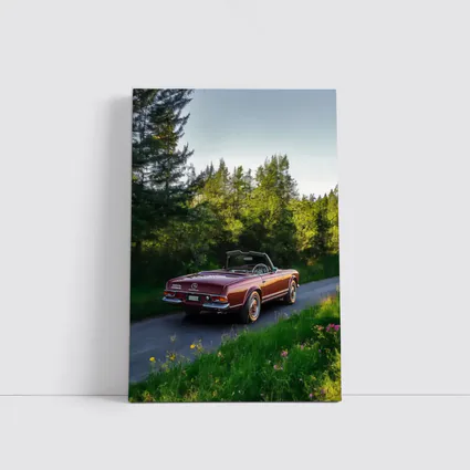 Mercedes SL Classic Convertible Forest Road