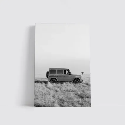 Mercedes G Class Black White Field