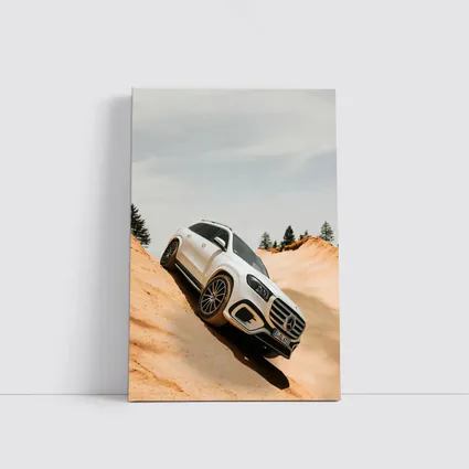 Mercedes GLS Class White SUV Sandy Dunes