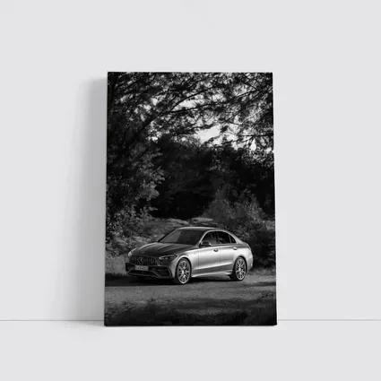 Mercedes AMG C Class Black White Nature