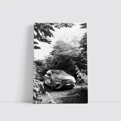 Mercedes AMG EQE Black White Forest Setting