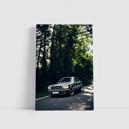 Mercedes Classic Coupe Parked In Forest