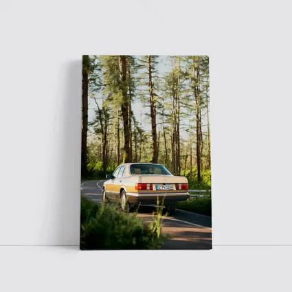 Mercedes S Class Classic Car Forest Road