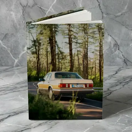 Mercedes S Class Classic Car Forest Road