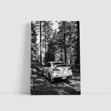 Mitsubishi Lancer Evo Forest Black White