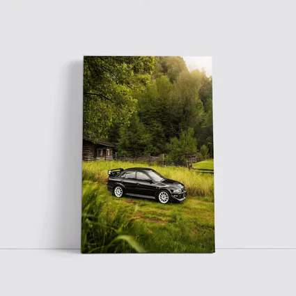 Mitsubishi Lancer Evolution Black Rural Setting