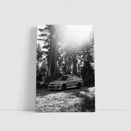 Mitsubishi Lancer Evo Black White Forest