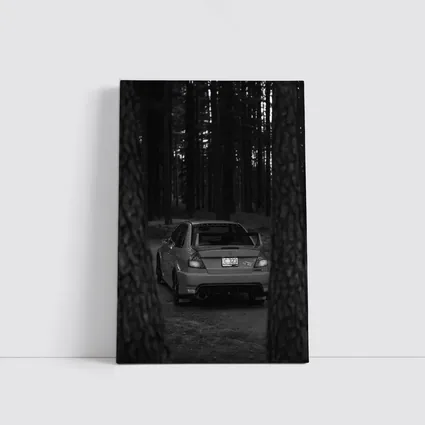 Mitsubishi Lancer Dark Forest Black White