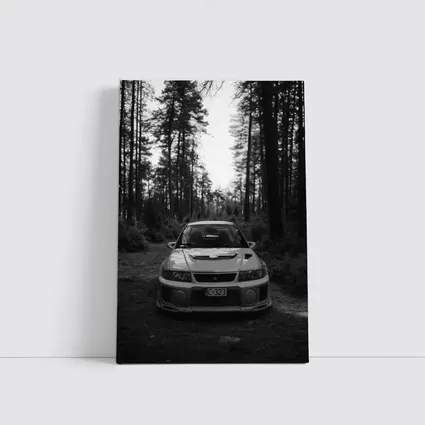 Mitsubishi Lancer Evolution Forest Black White