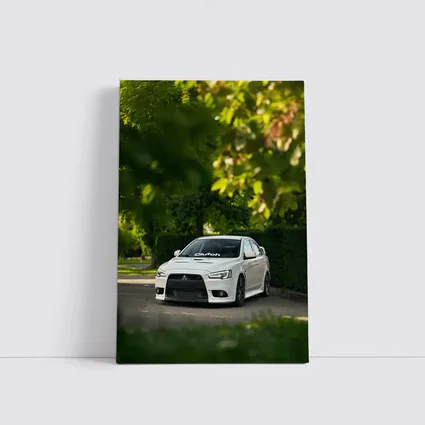 Mitsubishi Lancer Evolution White Tree Background