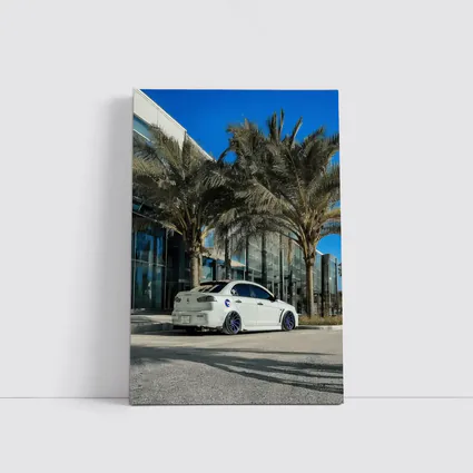 Mitsubishi Lancer Stance White Palm Tree City