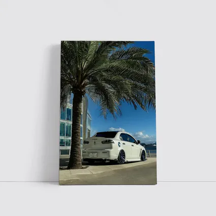 Mitsubishi Lancer White Stance City Palm Tree