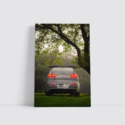 Mitsubishi Lancer Rear View Misty Park