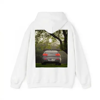 Mitsubishi Lancer Rear View Misty Park