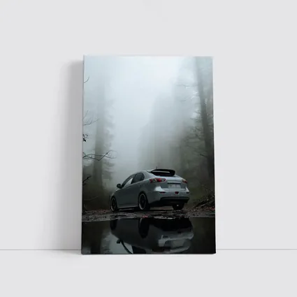 Mitsubishi Lancer Silver Car Foggy Forest