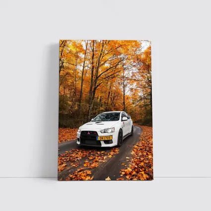 Mitsubishi Lancer White Car Autumn Forest Road