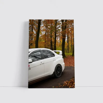 Mitsubishi Lancer Evo White Autumn Forest