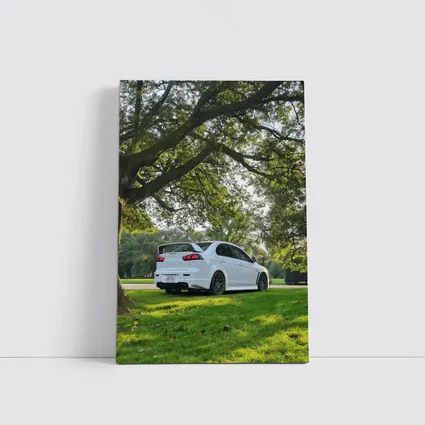 Mitsubishi Lancer Evolution White Park Setting