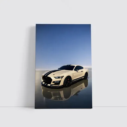 Ford Mustang Shelby GT500 White Racing Stripes