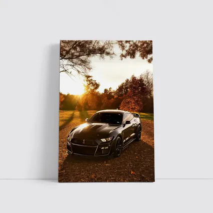 Ford Mustang Shelby GT500 Autumn Sunset