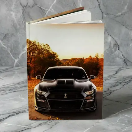 Ford Mustang Shelby GT500 Autumn Sunset