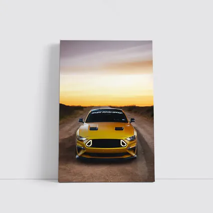 Ford Mustang Golden Sunset Dirt Road