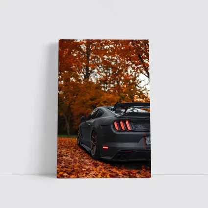 Ford Mustang Matte Gray Autumn Forest