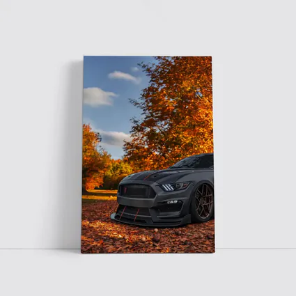 Ford Mustang GT350 Autumn Forest Setting