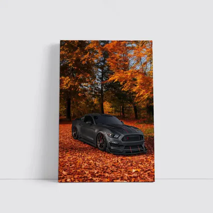 Ford Mustang Shelby Matte Gray Autumn Forest