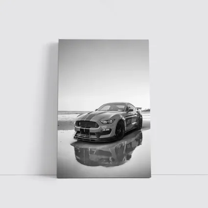 Ford Mustang Shelby GT350 Beach Black White