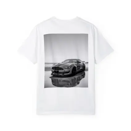 Ford Mustang Shelby GT350 Beach Black White