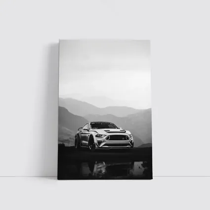 Ford Mustang RTR Black White Mountain Backdrop