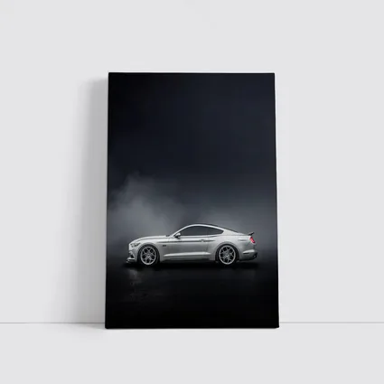 Ford Mustang Silver Side Profile Dark Fog