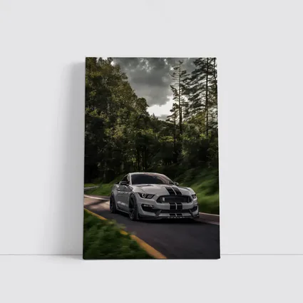 Ford Mustang Shelby GT350 Forest Road