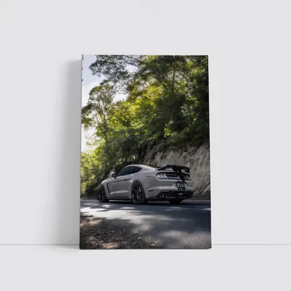 Ford Mustang Silver On Forest Road