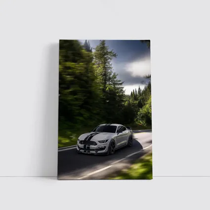 Ford Mustang Shelby GT350 Forest Road Drive