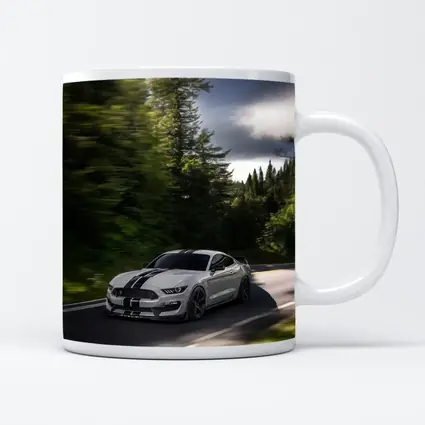 Ford Mustang Shelby GT350 Forest Road Drive