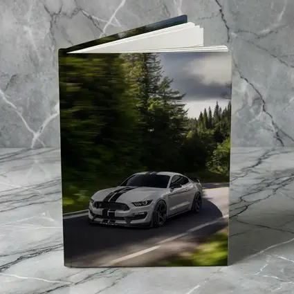 Ford Mustang Shelby GT350 Forest Road Drive