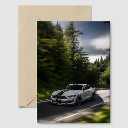 Ford Mustang Shelby GT350 Forest Road Drive