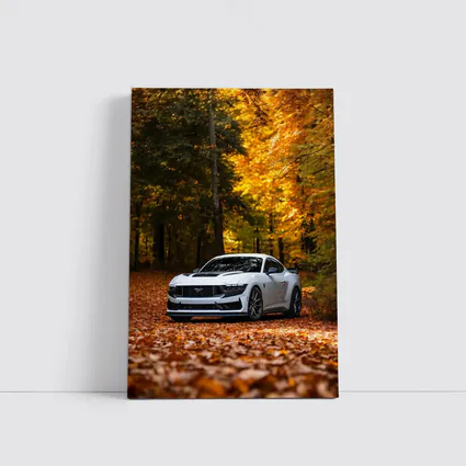 Ford Mustang White Car Autumn Forest