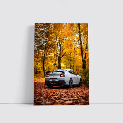 Ford Mustang White Car Autumn Forest