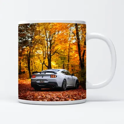 Ford Mustang White Car Autumn Forest